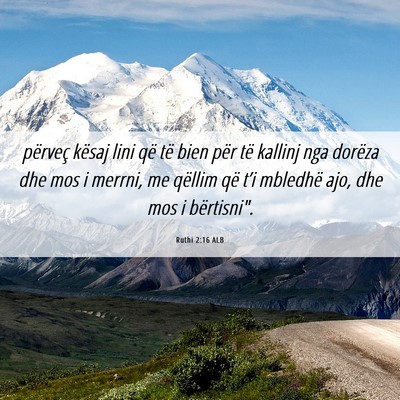 Picture 06 - Ruthi 2:16 ALB - përveç kësaj lini që të bien për të - Bible Verse Picture