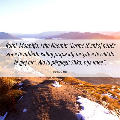 Picture 06 - Ruthi 2:2 ALB - Ruthi, Moabitja, i tha Naomit: 