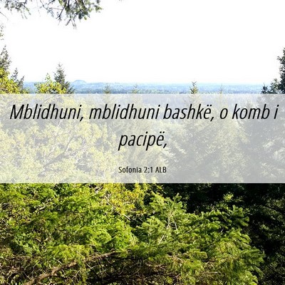 Picture 06 - Sofonia 2:1 ALB - Mblidhuni, mblidhuni bashkë, o komb i - Bible Verse Picture