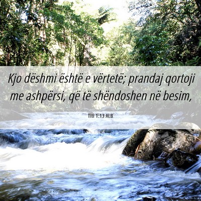 Picture 06 - Titi 1:13 ALB - Kjo dëshmi është e vërtetë; prandaj qortoji - Bible Verse Picture