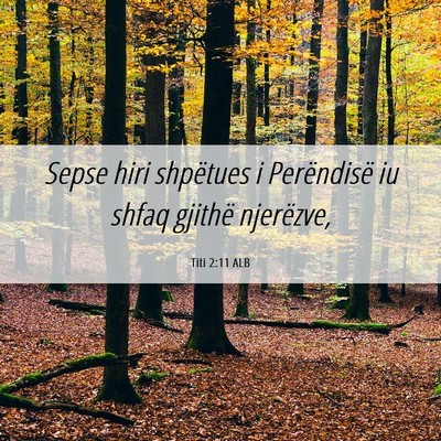 Picture 06 - Titi 2:11 ALB - Sepse hiri shpëtues i Perëndisë iu shfaq - Bible Verse Picture