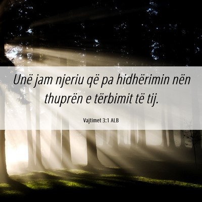 Picture 06 - Vajtimet 3:1 ALB - Unë jam njeriu që pa hidhërimin nën thuprën - Bible Verse Picture