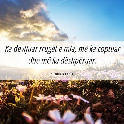 Picture 06 - Vajtimet 3:11 ALB - Ka devijuar rrugët e mia, më ka coptuar dhe më - Bible Verse Picture