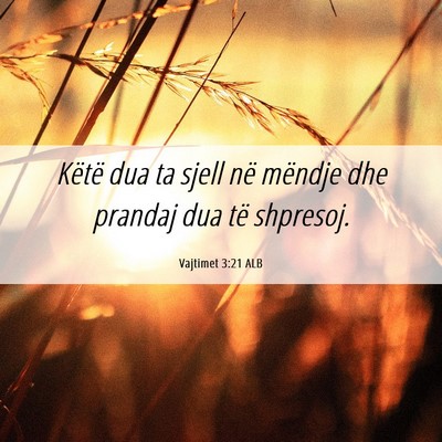 Picture 06 - Vajtimet 3:21 ALB - Këtë dua ta sjell në mëndje dhe prandaj dua - Bible Verse Picture