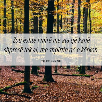 Picture 06 - Vajtimet 3:25 ALB - Zoti është i mirë me ata që kanë shpresë - Bible Verse Picture