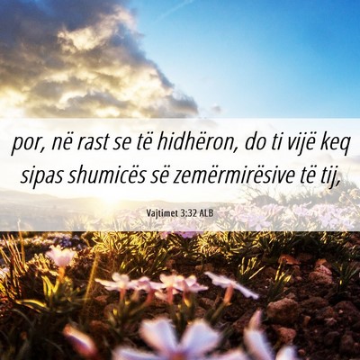 Picture 06 - Vajtimet 3:32 ALB - por, në rast se të hidhëron, do ti vijë keq - Bible Verse Picture