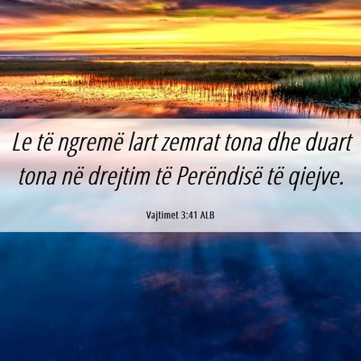 Picture 06 - Vajtimet 3:41 ALB - Le të ngremë lart zemrat tona dhe duart tona - Bible Verse Picture
