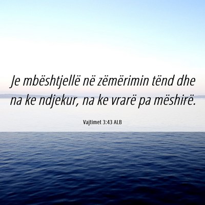 Picture 06 - Vajtimet 3:43 ALB - Je mbështjellë në zëmërimin tënd dhe na ke - Bible Verse Picture