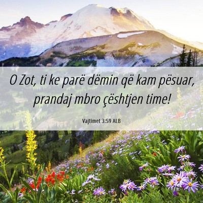 Picture 06 - Vajtimet 3:59 ALB - O Zot, ti ke parë dëmin që kam pësuar, - Bible Verse Picture
