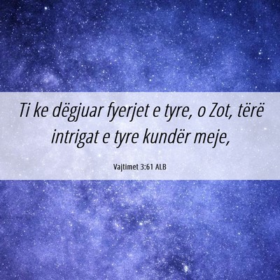 Picture 06 - Vajtimet 3:61 ALB - Ti ke dëgjuar fyerjet e tyre, o Zot, tërë - Bible Verse Picture