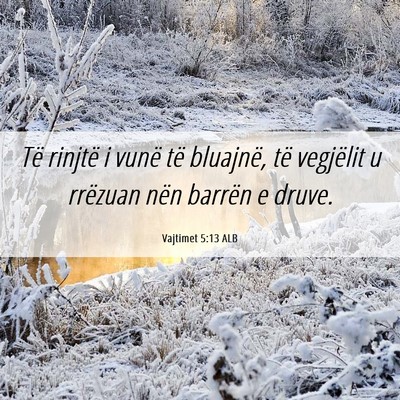Picture 06 - Vajtimet 5:13 ALB - Të rinjtë i vunë të bluajnë, të vegjëlit u - Bible Verse Picture