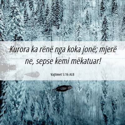 Picture 06 - Vajtimet 5:16 ALB - Kurora ka rënë nga koka jonë; mjerë ne, sepse - Bible Verse Picture
