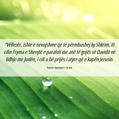Picture 06 - Veprat e Apostujve 1:16 ALB - “Vëllezër, ishte e nevojshme që të - Bible Verse Picture