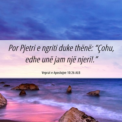 Picture 06 - Veprat e Apostujve 10:26 ALB - Por Pjetri e ngriti duke thënë: “Çohu, edhe - Bible Verse Picture