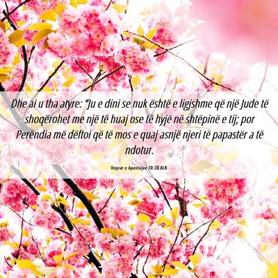Picture 06 - Veprat e Apostujve 10:28 ALB - Dhe ai u tha atyre: “Ju e dini se nuk është e - Bible Verse Picture