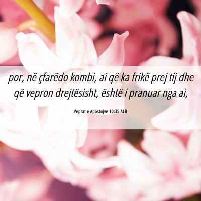 Picture 06 - Veprat e Apostujve 10:35 ALB - por, në çfarëdo kombi, ai që ka frikë prej - Bible Verse Picture