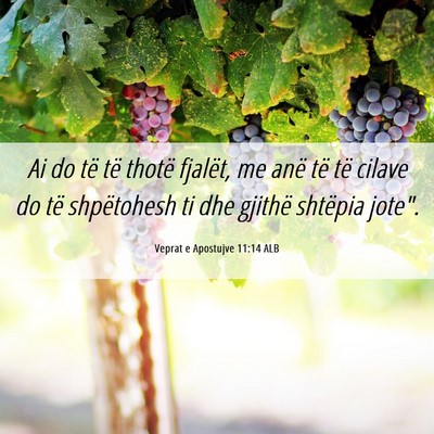 Picture 06 - Veprat e Apostujve 11:14 ALB - Ai do të të thotë fjalët, me anë të të - Bible Verse Picture