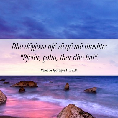 Picture 06 - Veprat e Apostujve 11:7 ALB - Dhe dëgjova një zë që më thoshte: 