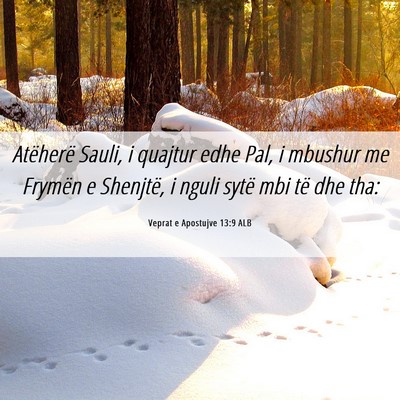 Picture 06 - Veprat e Apostujve 13:9 ALB - Atëherë Sauli, i quajtur edhe Pal, i mbushur me - Bible Verse Picture