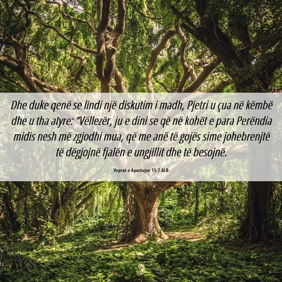 Picture 06 - Veprat e Apostujve 15:7 ALB - Dhe duke qenë se lindi një diskutim i madh, - Bible Verse Picture