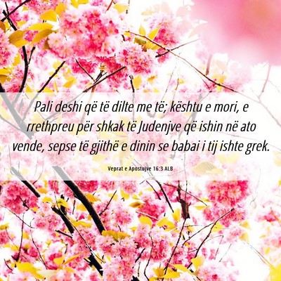 Picture 06 - Veprat e Apostujve 16:3 ALB - Pali deshi që të dilte me të; kështu e mori, - Bible Verse Picture
