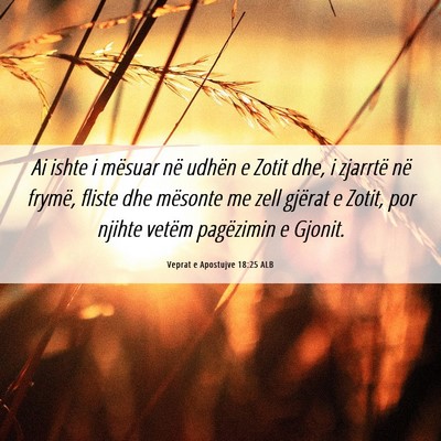 Picture 06 - Veprat e Apostujve 18:25 ALB - Ai ishte i mësuar në udhën e Zotit dhe, i - Bible Verse Picture