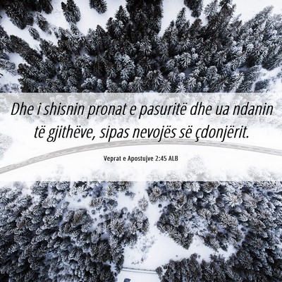 Picture 06 - Veprat e Apostujve 2:45 ALB - Dhe i shisnin pronat e pasuritë dhe ua ndanin - Bible Verse Picture