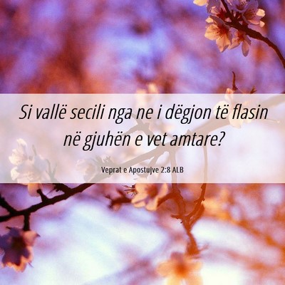 Picture 06 - Veprat e Apostujve 2:8 ALB - Si vallë secili nga ne i dëgjon të flasin në - Bible Verse Picture