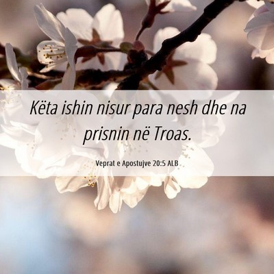 Picture 06 - Veprat e Apostujve 20:5 ALB - Këta ishin nisur para nesh dhe na prisnin në - Bible Verse Picture