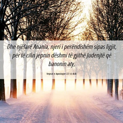 Picture 06 - Veprat e Apostujve 22:12 ALB - Dhe njëfarë Anania, njeri i perëndishëm sipas - Bible Verse Picture