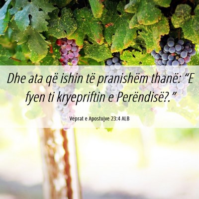 Picture 06 - Veprat e Apostujve 23:4 ALB - Dhe ata që ishin të pranishëm thanë: “E - Bible Verse Picture