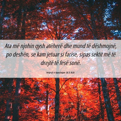 Picture 06 - Veprat e Apostujve 26:5 ALB - Ata më njohin qysh atëherë dhe mund të - Bible Verse Picture
