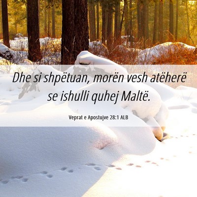 Picture 06 - Veprat e Apostujve 28:1 ALB - Dhe si shpëtuan, morën vesh atëherë se - Bible Verse Picture