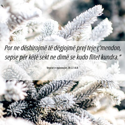 Picture 06 - Veprat e Apostujve 28:22 ALB - Por ne dëshirojmë të dëgjojmë prej teje - Bible Verse Picture