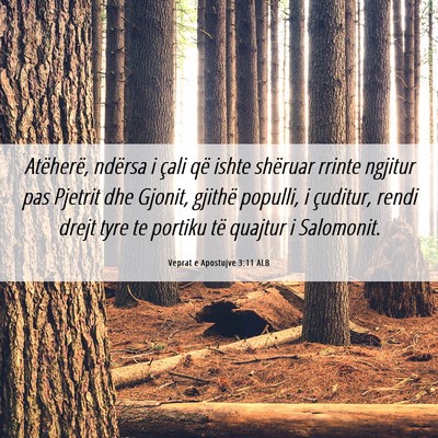 Picture 06 - Veprat e Apostujve 3:11 ALB - Atëherë, ndërsa i çali që ishte shëruar - Bible Verse Picture