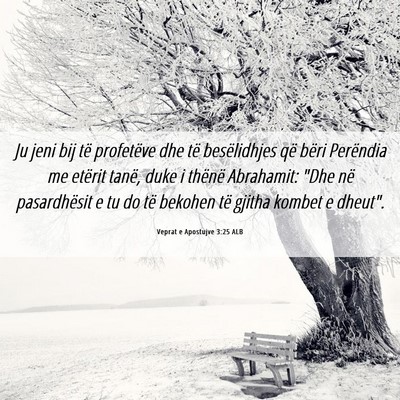 Picture 06 - Veprat e Apostujve 3:25 ALB - Ju jeni bij të profetëve dhe të besëlidhjes - Bible Verse Picture