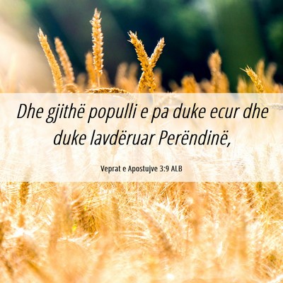 Picture 06 - Veprat e Apostujve 3:9 ALB - Dhe gjithë populli e pa duke ecur dhe duke - Bible Verse Picture