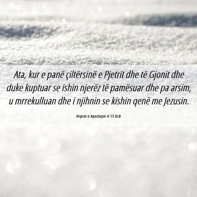 Picture 06 - Veprat e Apostujve 4:13 ALB - Ata, kur e panë çiltërsinë e Pjetrit dhe të - Bible Verse Picture