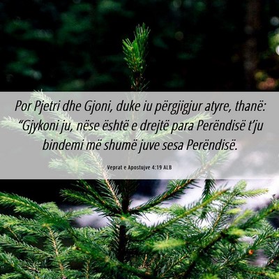 Picture 06 - Veprat e Apostujve 4:19 ALB - Por Pjetri dhe Gjoni, duke iu përgjigjur atyre, - Bible Verse Picture