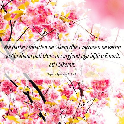 Picture 06 - Veprat e Apostujve 7:16 ALB - Ata pastaj i mbartën në Sikem dhe i varrosën - Bible Verse Picture