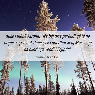 Picture 06 - Veprat e Apostujve 7:40 ALB - duke i thënë Aaronit: 