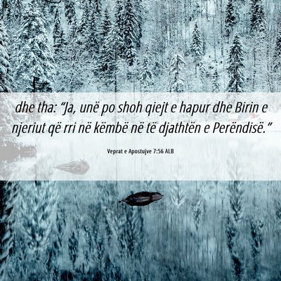Picture 06 - Veprat e Apostujve 7:56 ALB - dhe tha: “Ja, unë po shoh qiejt e hapur dhe - Bible Verse Picture