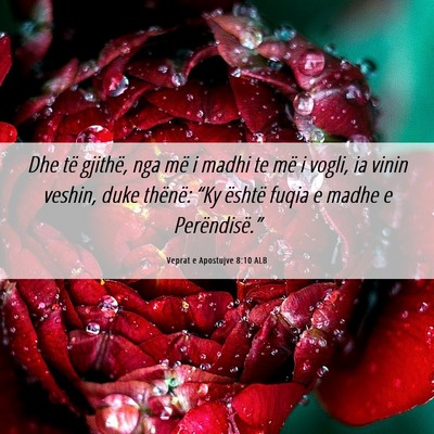 Picture 06 - Veprat e Apostujve 8:10 ALB - Dhe të gjithë, nga më i madhi te më i vogli, - Bible Verse Picture