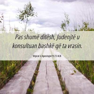Picture 06 - Veprat e Apostujve 9:23 ALB - Pas shumë ditësh, Judenjtë u konsultuan - Bible Verse Picture