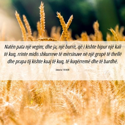Picture 06 - Zakaria 1:8 ALB - Natën pata një vegim; dhe ja, një burrë, që - Bible Verse Picture