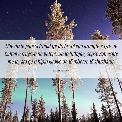 Picture 06 - Zakaria 10:5 ALB - Dhe do të jenë si trimat që do të shkelin - Bible Verse Picture