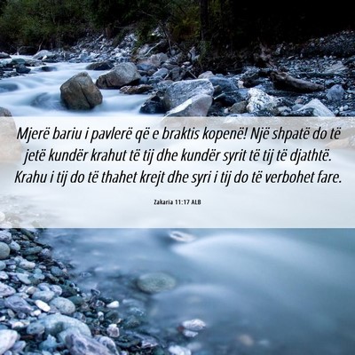 Picture 06 - Zakaria 11:17 ALB - Mjerë bariu i pavlerë që e braktis kopenë! - Bible Verse Picture