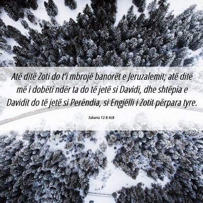 Picture 06 - Zakaria 12:8 ALB - Atë ditë Zoti do t’i mbrojë banorët e - Bible Verse Picture