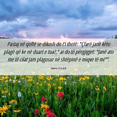 Picture 06 - Zakaria 13:6 ALB - Pastaj në qoftë se dikush do t’i thotë: - Bible Verse Picture