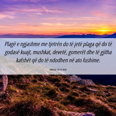 Picture 06 - Zakaria 14:15 ALB - Plagë e ngjashme me tjetrën do të jetë plaga - Bible Verse Picture